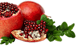 Pomegranate